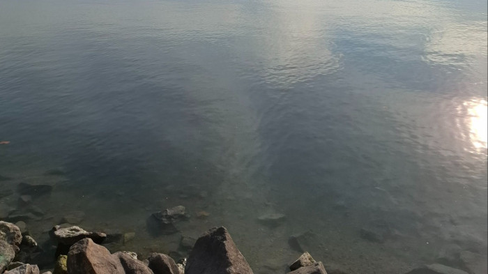 Mocsár lehet a Balatonból az idén nyáron, katasztrofális a helyzet