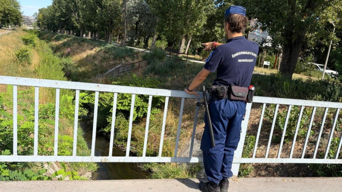 Nagy bajt észleltek a Rákos-pataknál